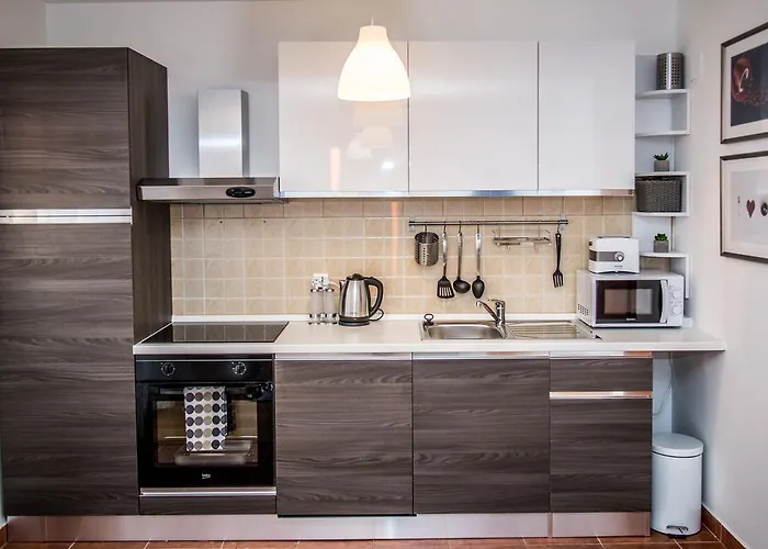 Apartment Roko