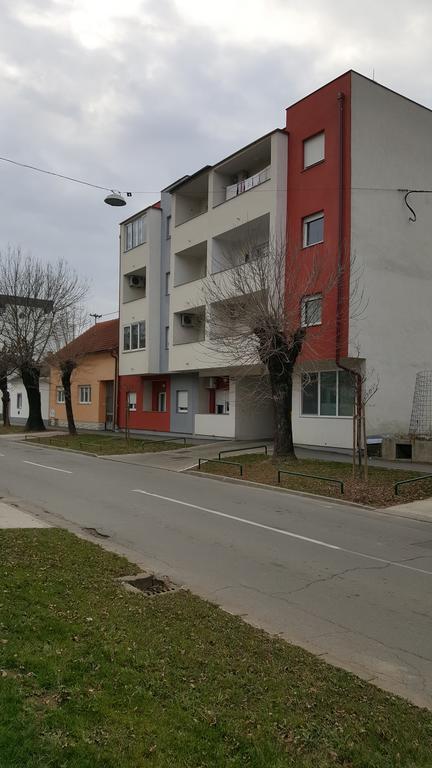 Apartment Roko *